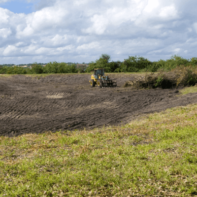 Brush Clearing